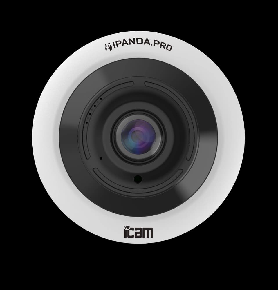 iCAM Hemispheric.12XM - фото 1